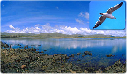 Falkland Imagem