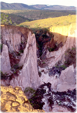 Serra de Roraima